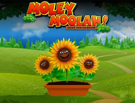 Moley Moolah Going Underground