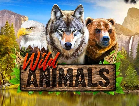 Wild Animals