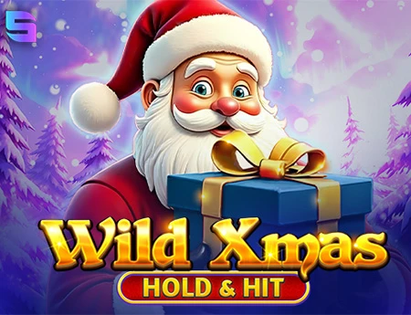 Wild Xmas -  Hold & Hit